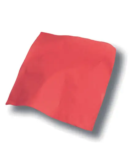 Ansicht 7 – Bandana Goal (AT305)