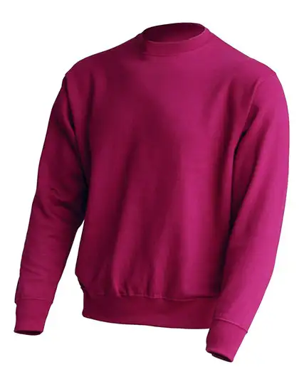 Ansicht 16 – Crew Neck Sweatshirt (JHK320)