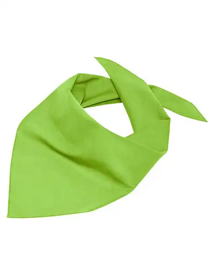Ansicht 13 – Triangular Scarf (MB6524)