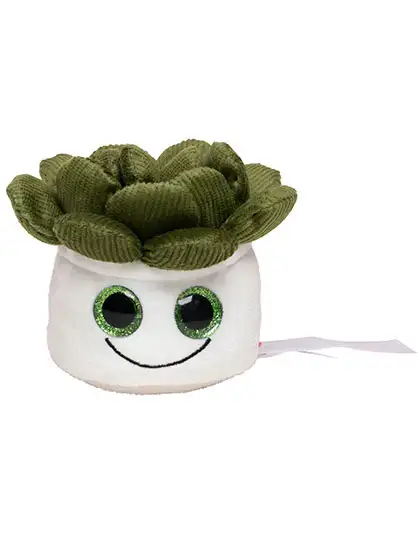 Ansicht 1 – Schmoozies® Evergreenies® Sukkulente (MBW160849)