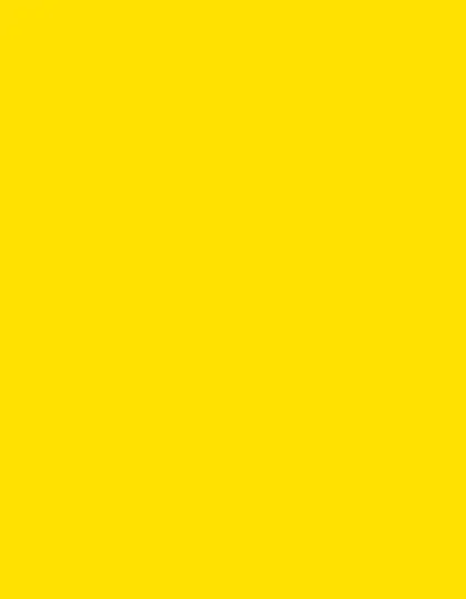 Ansicht 49 – Polyneon 40 (1.000 m) (MD400)