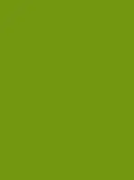 Ansicht 17 – Polyneon 40 Green (5.000 m) (MD400R)