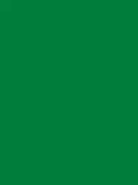 Ansicht 18 – Polyneon 40 Green (5.000 m) (MD400R)