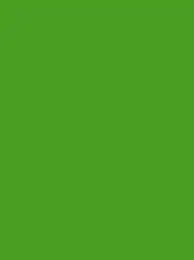 Ansicht 31 – Polyneon 40 Green (5.000 m) (MD400R)