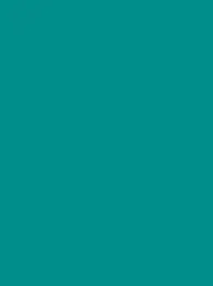 Ansicht 70 – Polyneon 40 Green (5.000 m) (MD400R)