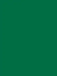 Ansicht 72 – Polyneon 40 Green (5.000 m) (MD400R)