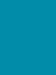 Ansicht 80 – Polyneon 40 Green (5.000 m) (MD400R)