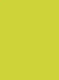Ansicht 88 – Polyneon 40 Green (5.000 m) (MD400R)
