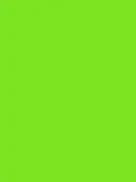 Ansicht 92 – Polyneon 40 Green (5.000 m) (MD400R)