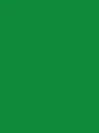 Ansicht 107 – Polyneon 40 Green (5.000 m) (MD400R)