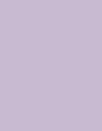 Ansicht 36 – Frosted Matt No. 40 (2.500 m) (MD410)