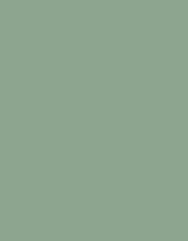 Ansicht 55 – Frosted Matt No. 40 (2.500 m) (MD410)