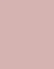 Ansicht 43 – Frosted Matt No. 40 (2.500 m) (MD410)