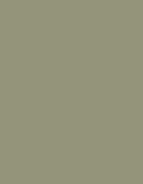 Ansicht 81 – Frosted Matt No. 40 (2.500 m) (MD410)
