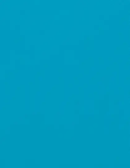 Ansicht 8 – CAD-CUT® Flock (SA350)