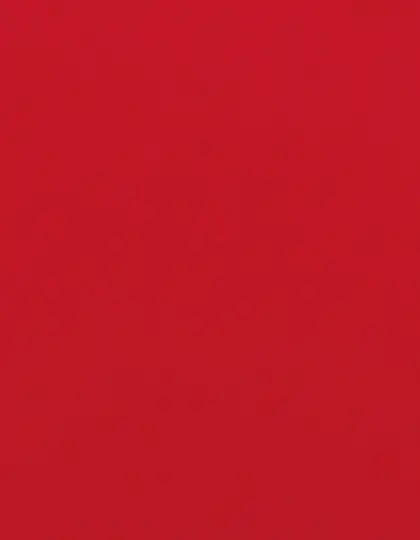 Ansicht 25 – CAD-CUT® Flock (SA350)