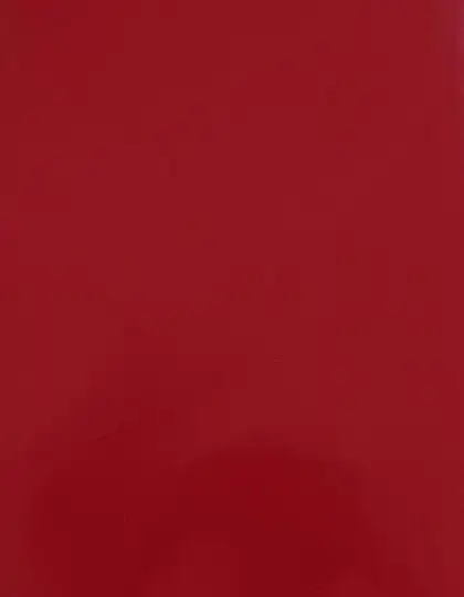 Ansicht 3 – CAD-CUT® Silicone 200 (SA908)