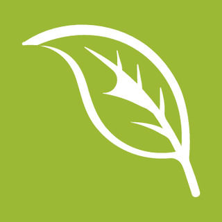 Zertifikat: Bio-Baumwolle